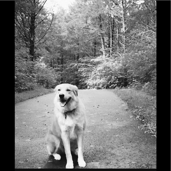 Meet your Posher, Angela - Picture 3 of 3